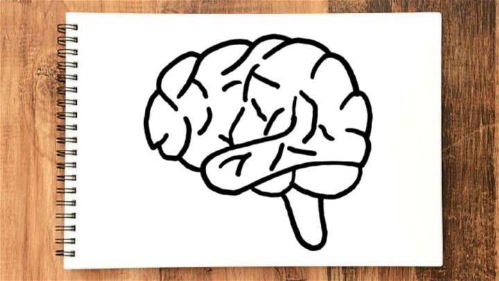 brain drawing simple