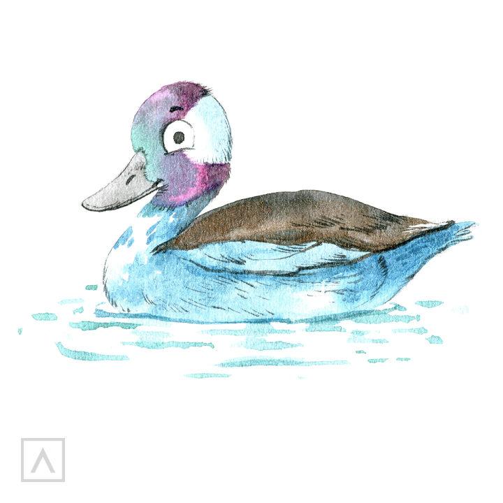 Cute Duck Drawing