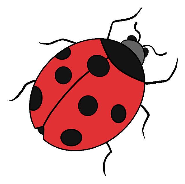 Cute Ladybug Drawing