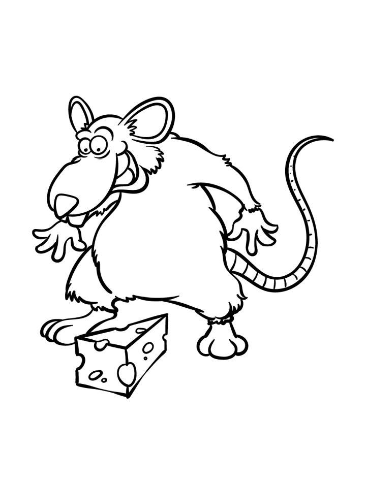 Cute Rat Drawing