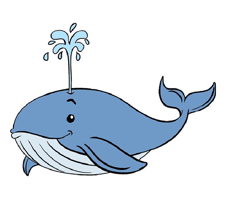 Cute Whale Drawing Step by Step