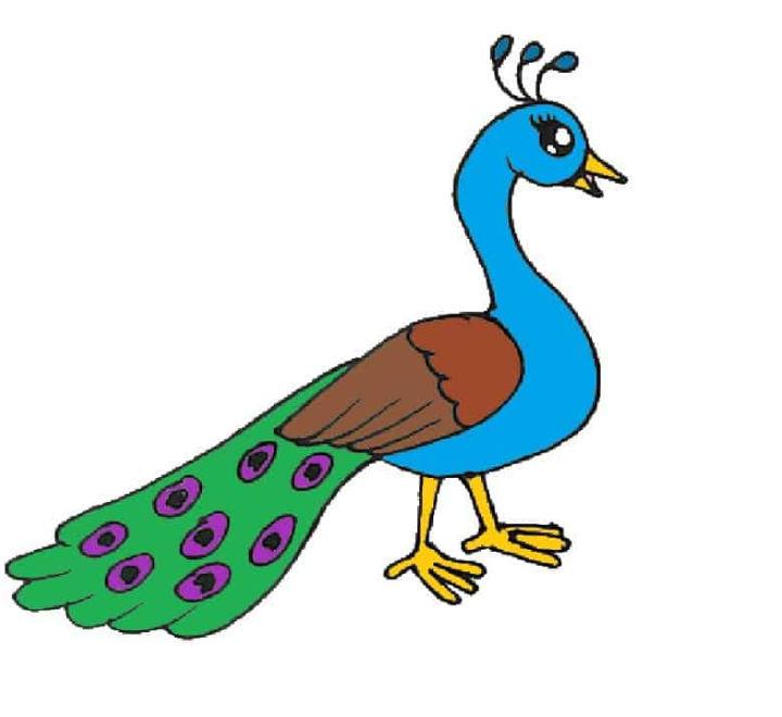 how to draw peacock drawing easy step by step@Kids Drawing Talent - YouTube