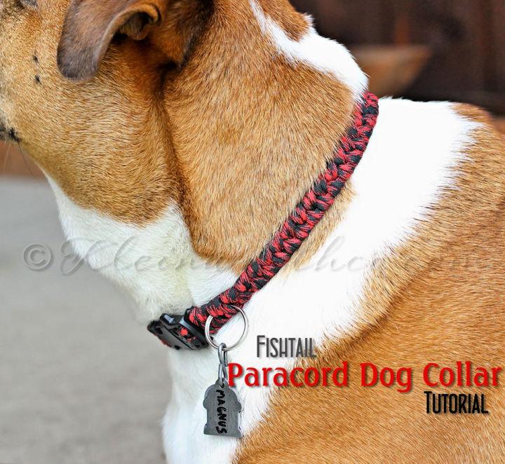 DIY Fishtail Paracord Dog Collar