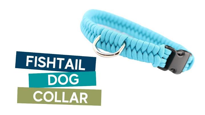 DIY Paracord Dog Collar