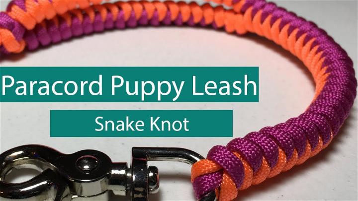 DIY Paracord Puppy Leash