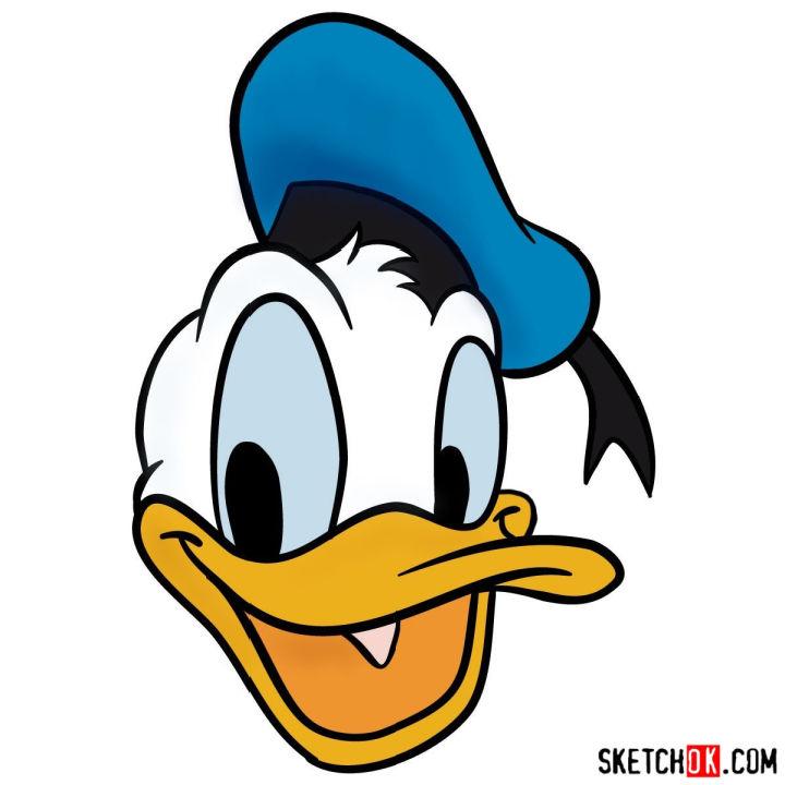 Donald Ducks Face Drawing