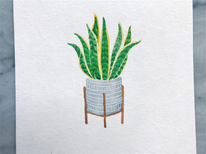 Draw Snake Plant with Watercolor