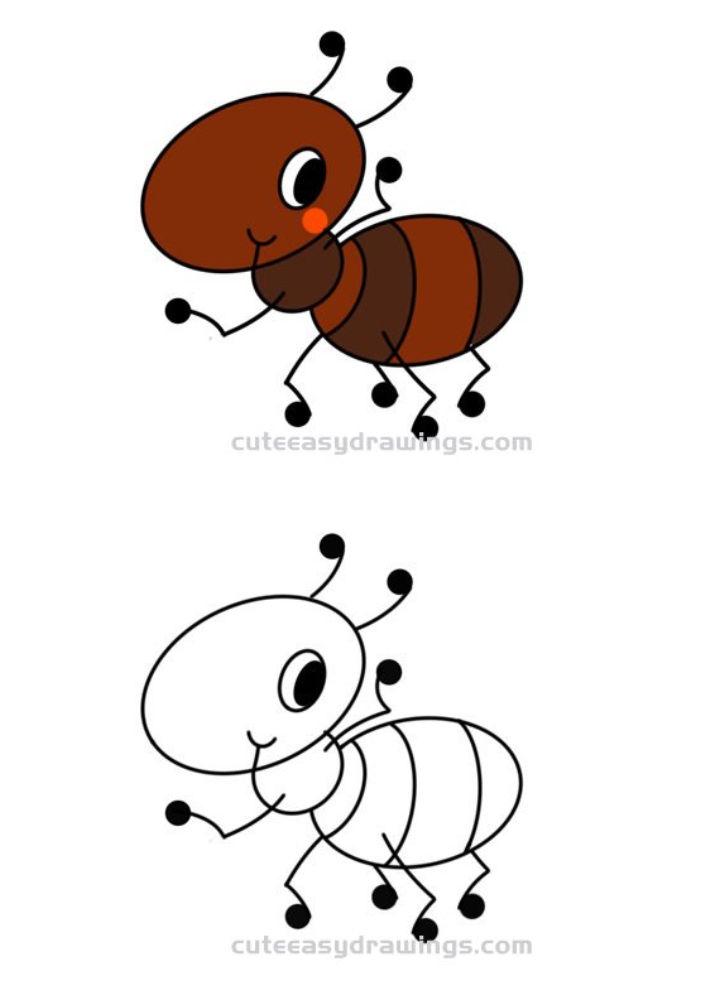 Draw Your Own Ant