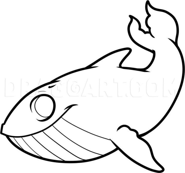 Draw Your Own Whale