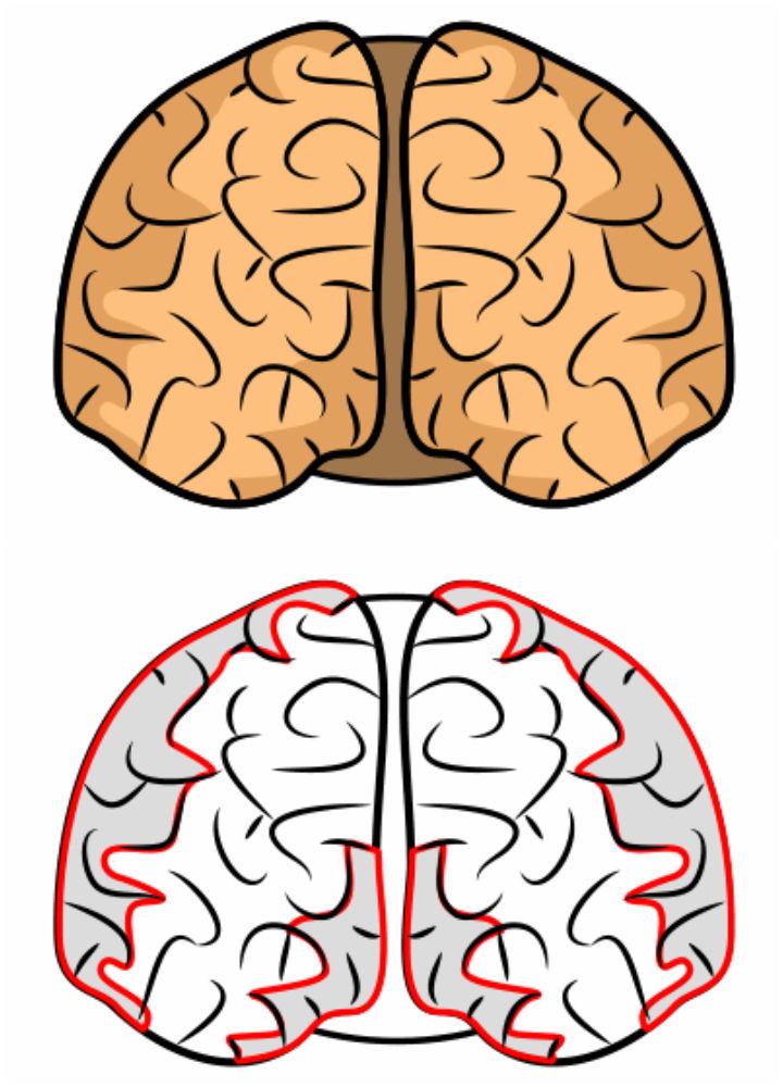 Draw a Cartoon Brain Using Simple Lines