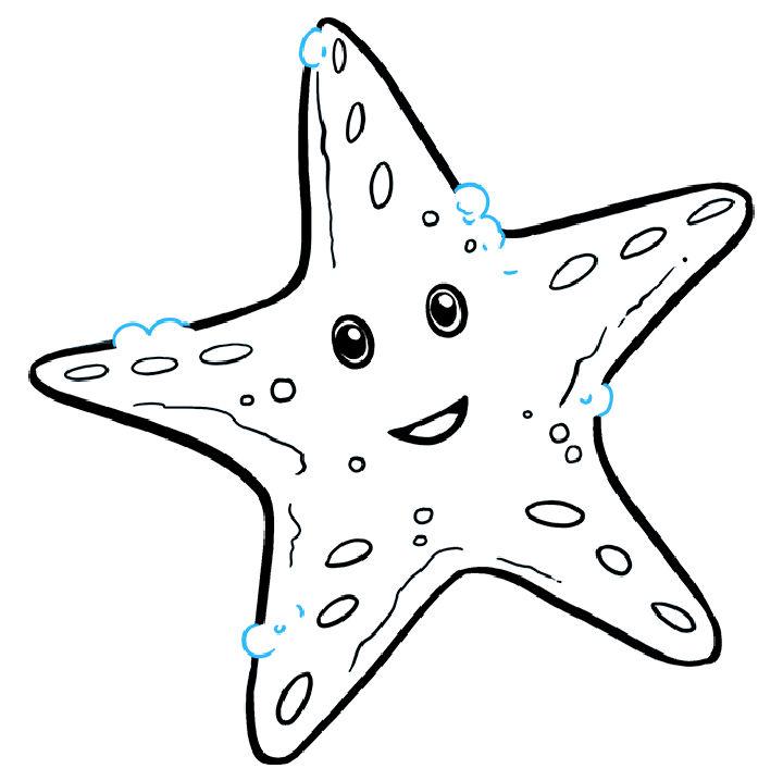 Draw a Cute Starfish