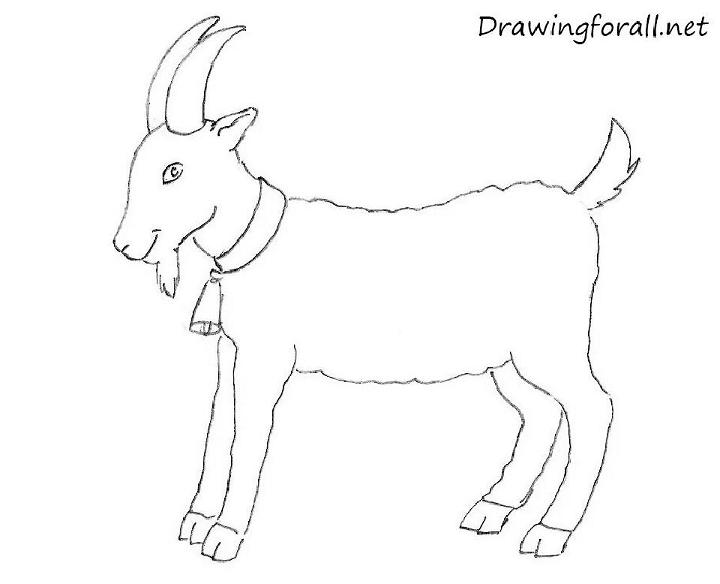Draw a Goat for Beginners