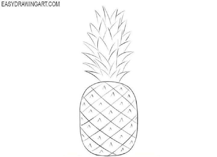 Draw a Pineapple