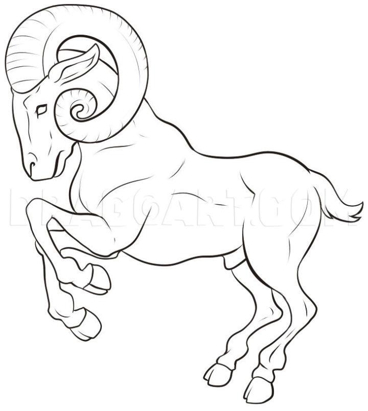 Draw a Ram