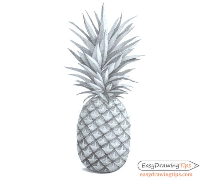 Draw a Realistic Pineapple