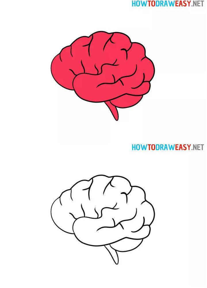 easy brain drawing