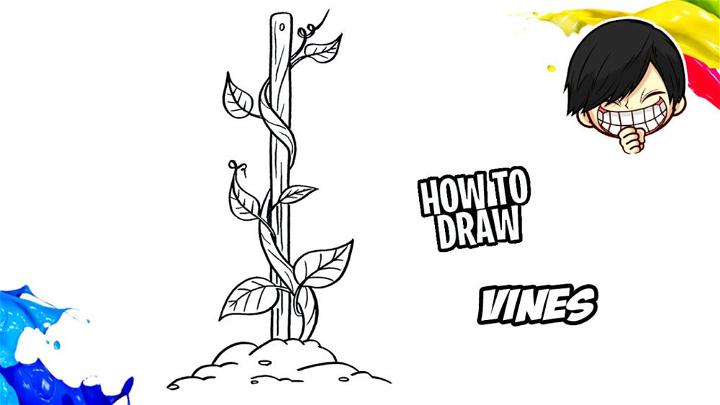 Drawing of Vines