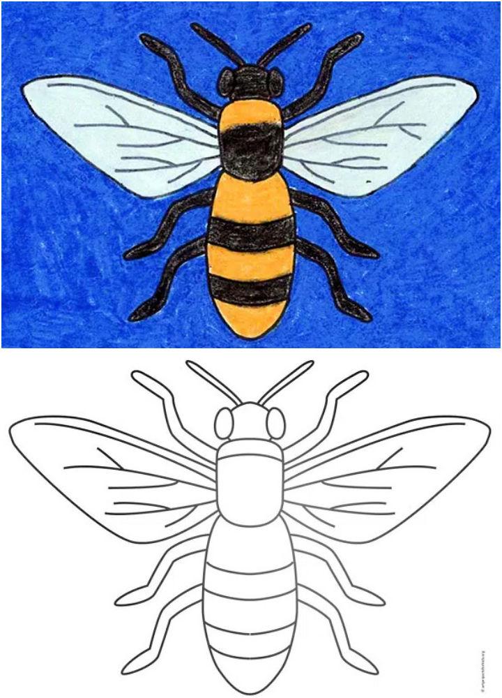 Drawing of a Bee