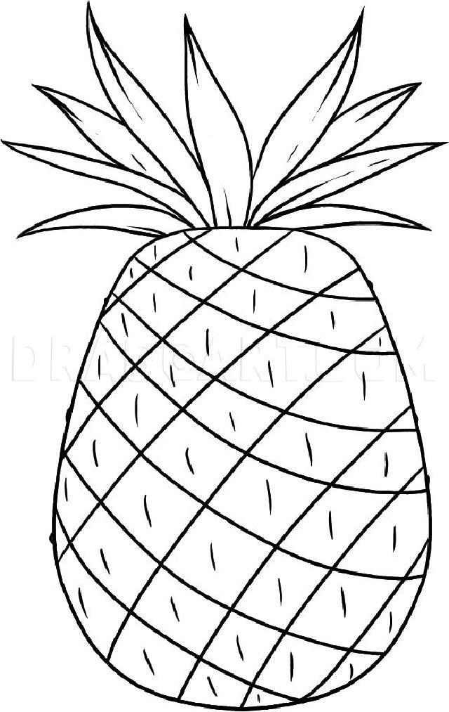 Drawing of a Pineapple