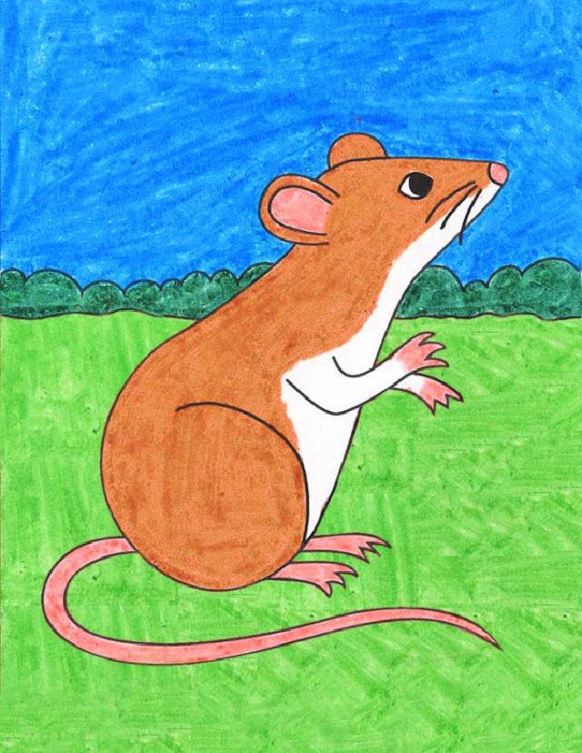 Drawing of a Rat