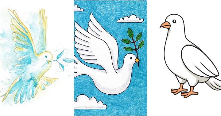 15 Easy Dove Drawing Ideas - How to Draw a Dove
