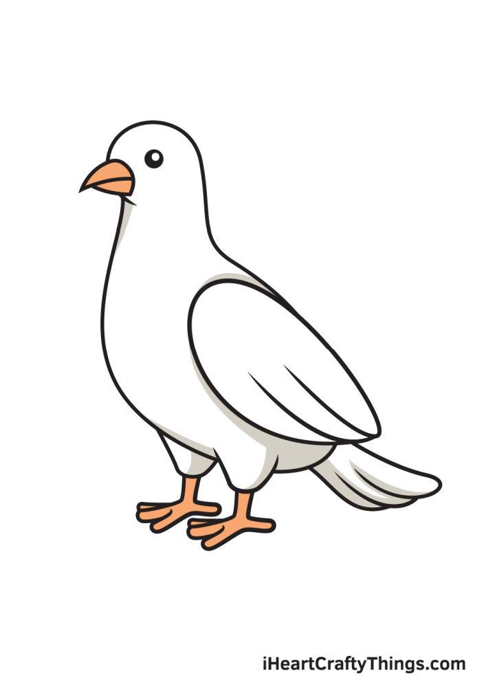 Easy Dove Drawing