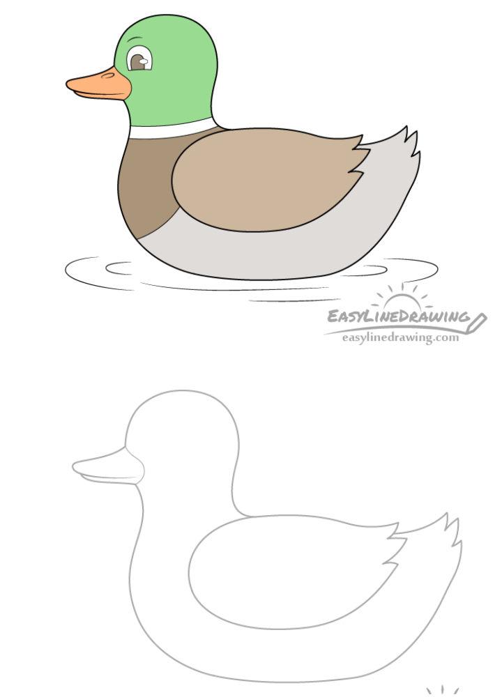 Easy Duck Drawing Step by Step