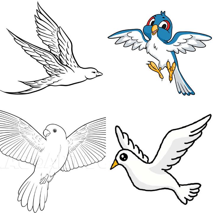 Clip art of three different flying birds | Free SVG