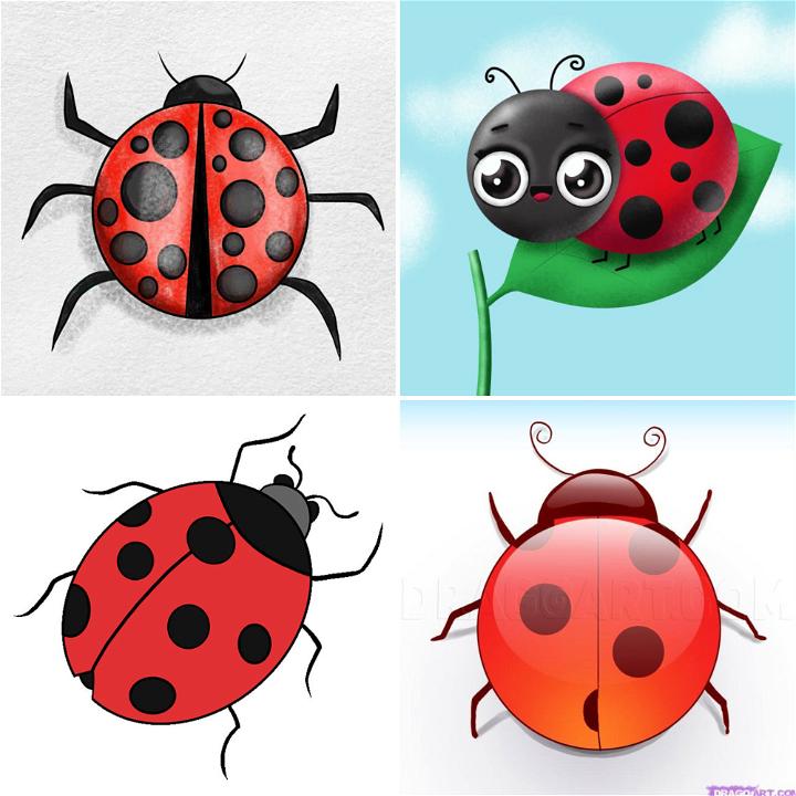 15 Easy Ladybug Drawing Ideas How to Draw a Ladybug