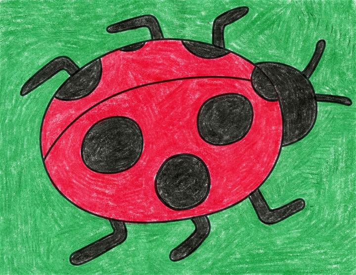 Easy Ladybug Drawing