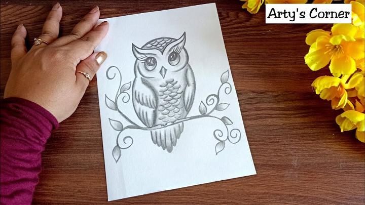 Easy Owl Drawing with Only 1 Pencil