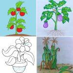 30 Easy Plant Drawing Ideas - How to Draw a Plant