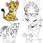 25 Easy Tiger Drawing Ideas - How to Draw a Tiger