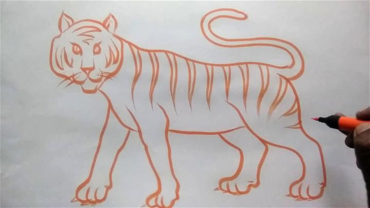 Easy Tiger Line Drawing
