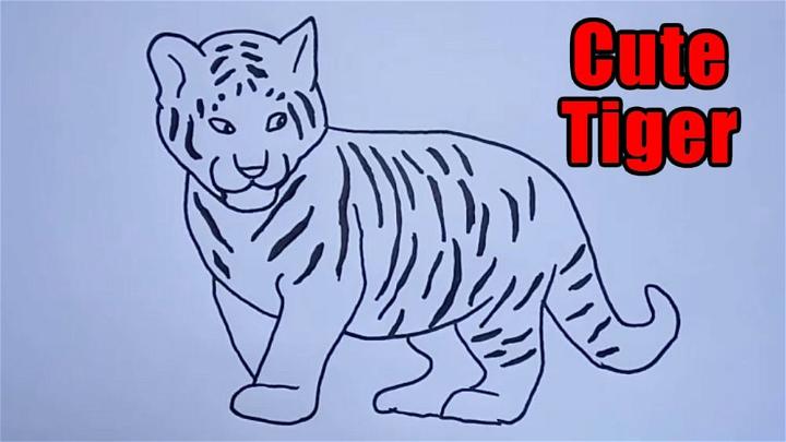 Easy Tiger Sketch Step by Step Outline