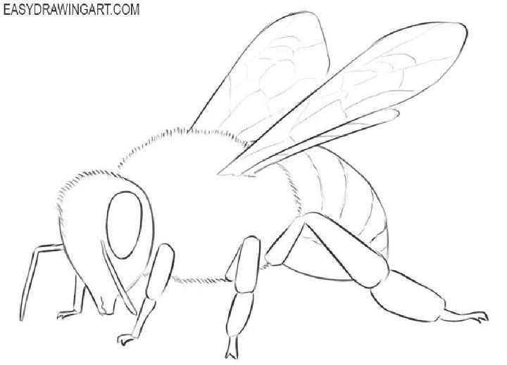 Easy Way to Draw a Bee