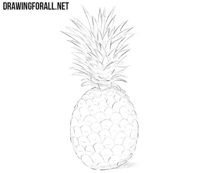 Easy Way to Draw a Pineapple