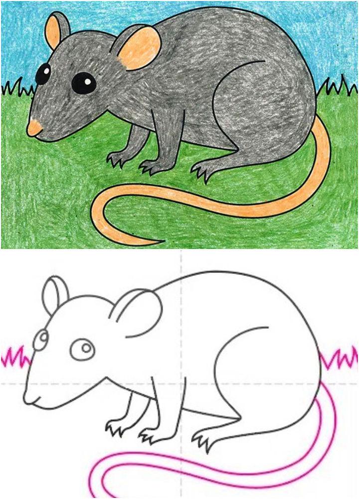 Easy Way to Draw a Rat