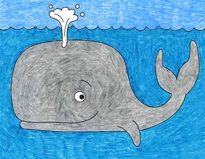 Whales And Kids PNG Transparent Images Free Download | Vector Files |  Pngtree