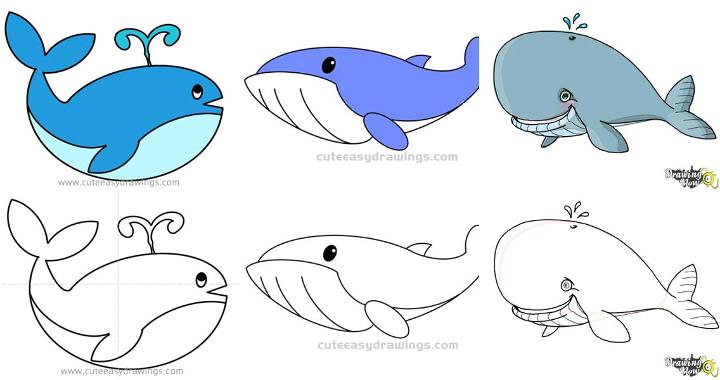 Blue whale color line marine mammals Royalty Free Vector