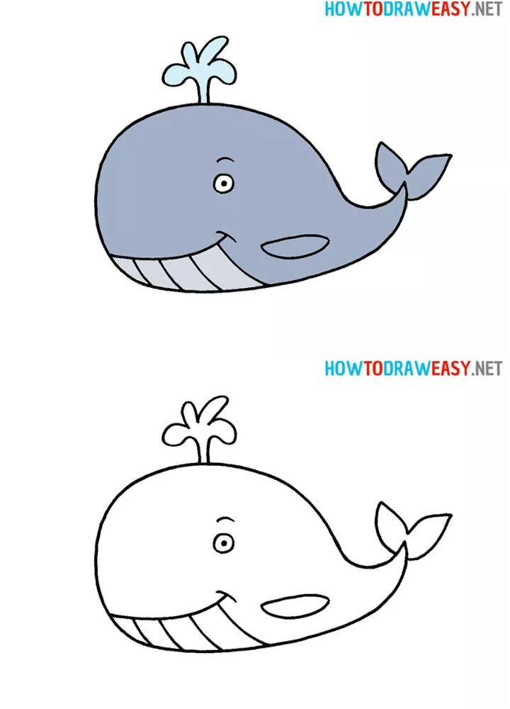 Premium Vector | Coloring book for kid cute whale
