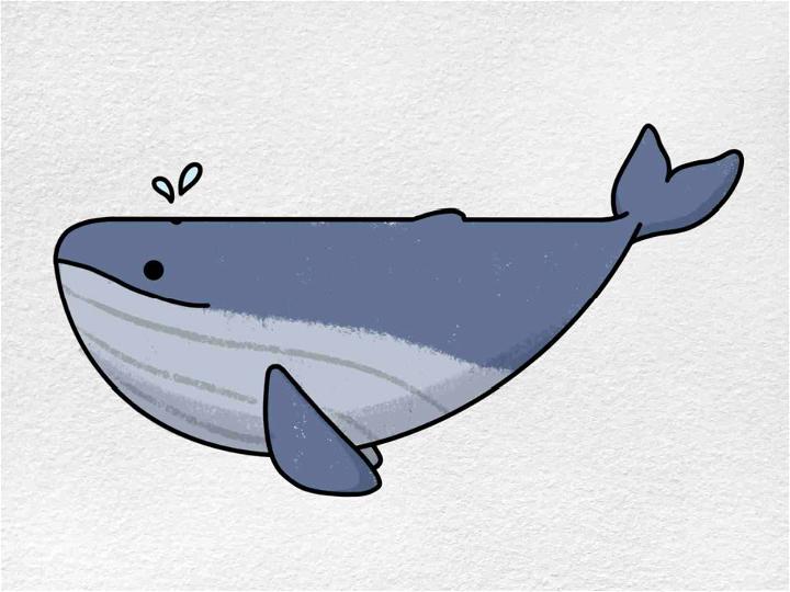 Easy and Cute Whale Drawing