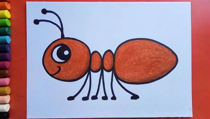 Easy and Simple Ant Drawing