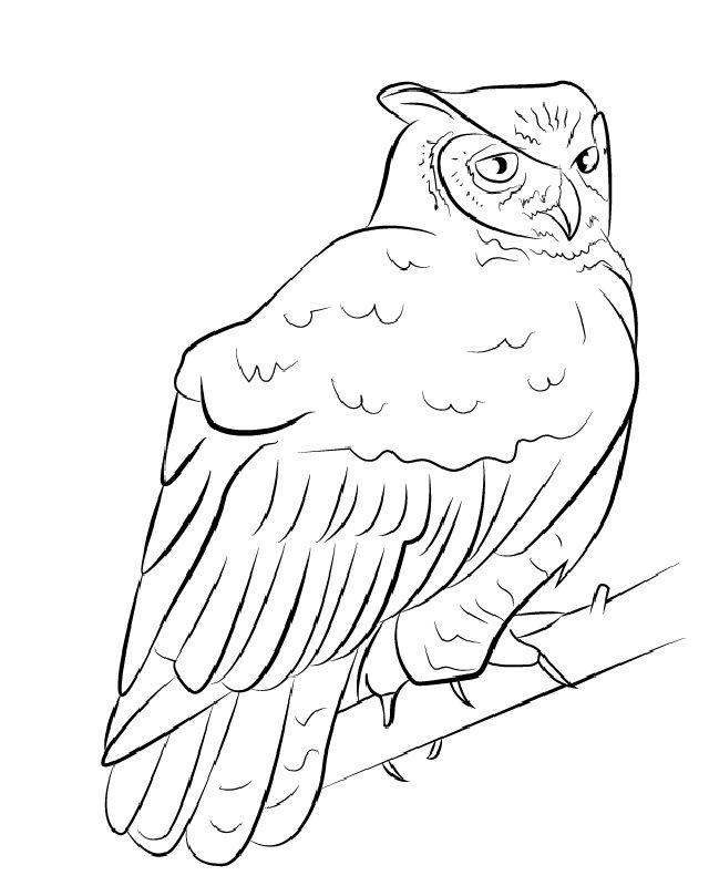 simple owl drawings