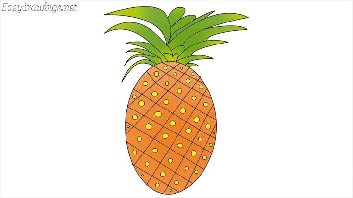 How Do You Draw a Pineapple