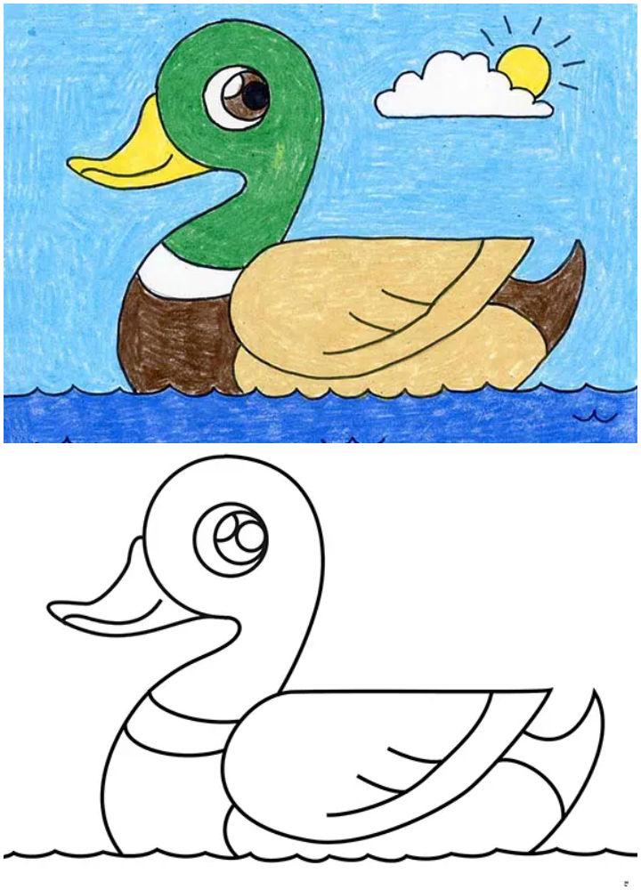 25 Easy Duck Drawing Ideas How to Draw a Duck Blitsy