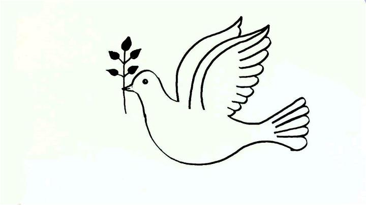 How To Draw A Peace Dove