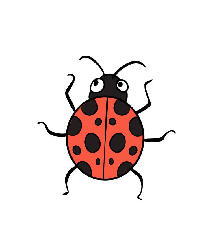 How To Draw Ladybug Step by Step