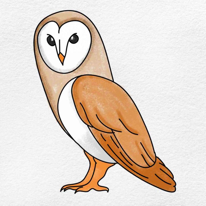 25 Easy Owl Drawing Ideas - How to Draw an Owl (2023)