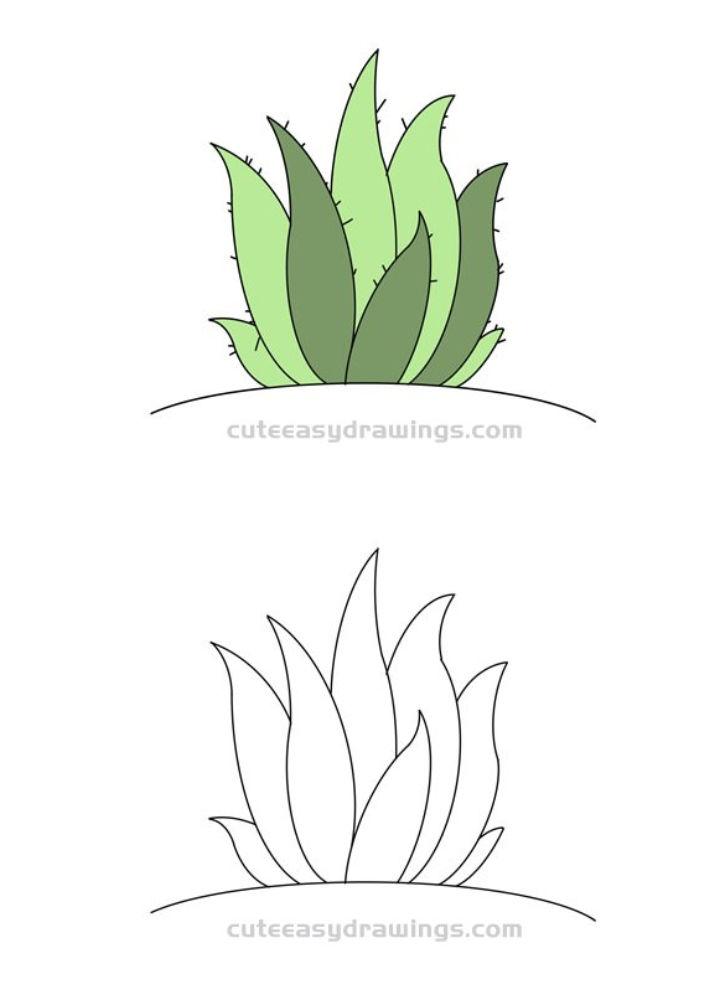 How to Draw Aloe Plant for Kids